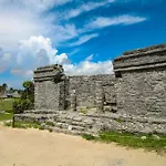 Tao Edena 95