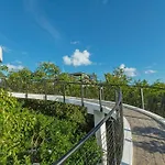 Magnificent House With Pool & Jungle View