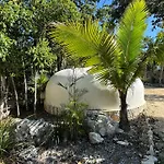 Eco-Friendly Bungalows En La Selva De Tulum
