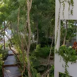 Oasis Yaaxlum