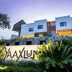 Oasis Yaaxlum