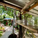 Casa Kuma