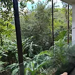 Private Apartment At The Top Jungle