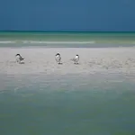 Sol Tulum