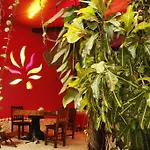 Frida House