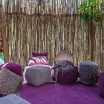 Sky Jungle 101 - Luum Zama