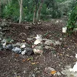 Carretera Tulum - Coba Km10