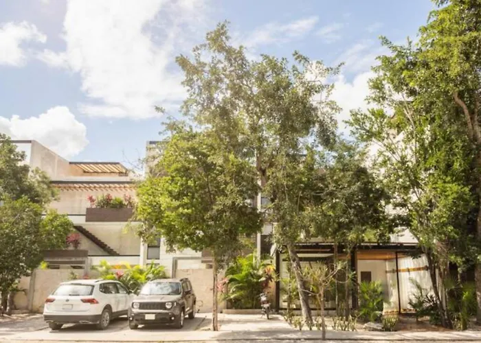 Beautiful & Central Apartment Mareas Gym Pool