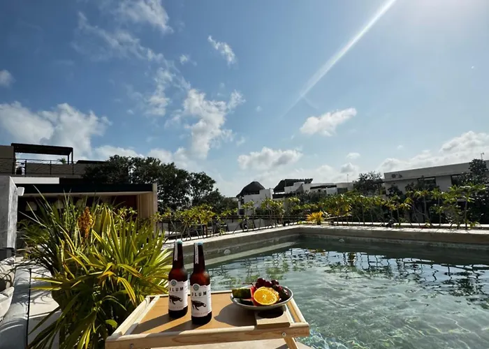 ºselva Misticaº Estela New Cozy Apartment Skypool 1 Bdr And 2 Bikes Free Rental