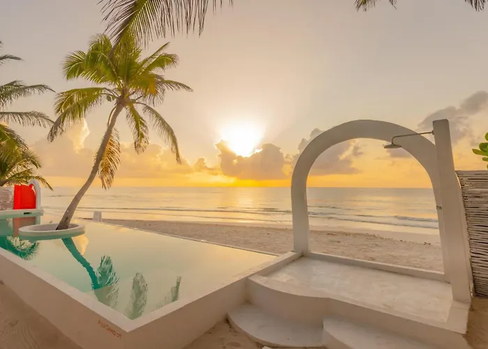 12Br Beachfront Private Villa With Infinity Pool By Solmar Rentals
