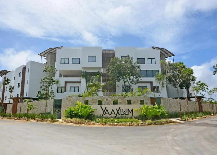 Oasis Yaaxlum