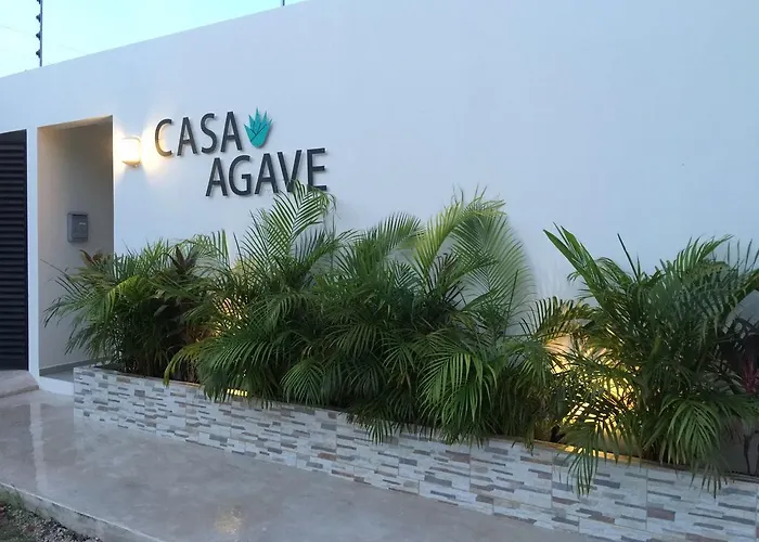 Casa Agave
