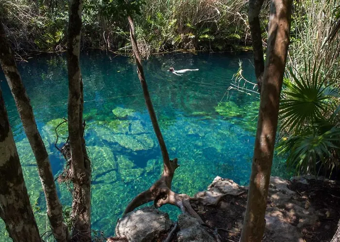Agua de Selva