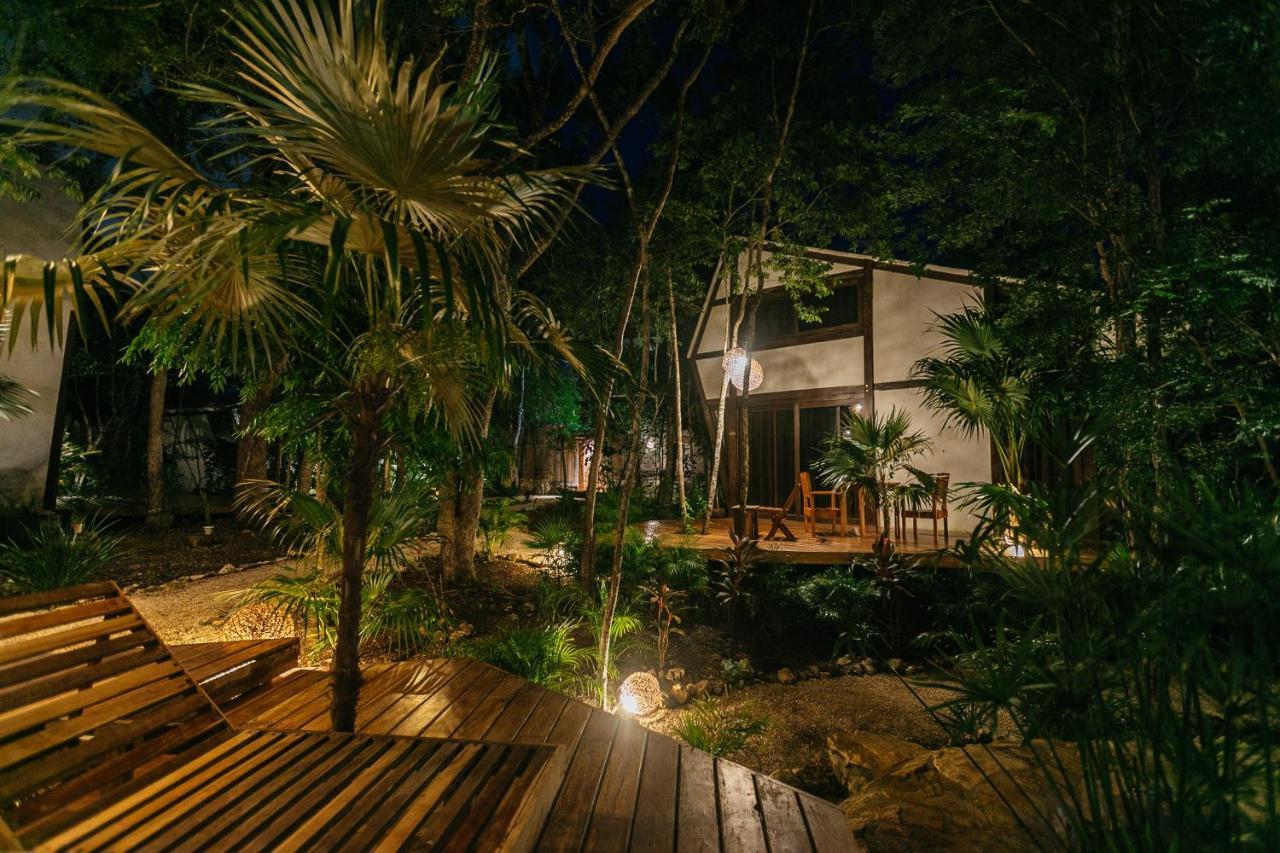 Nahouse Jungle Lodge