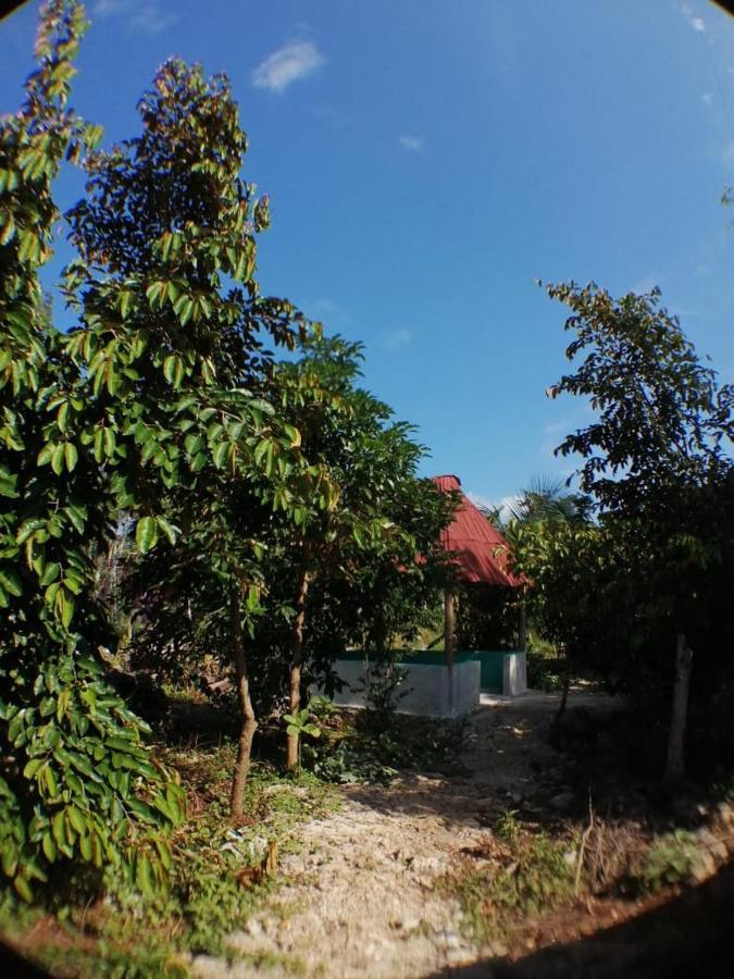 Сasa de vacaciones Jungle Oasis