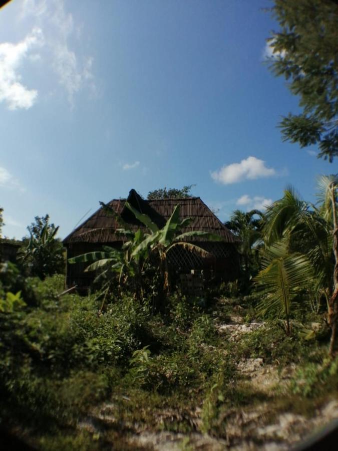 Сasa de vacaciones Jungle Oasis Tulum