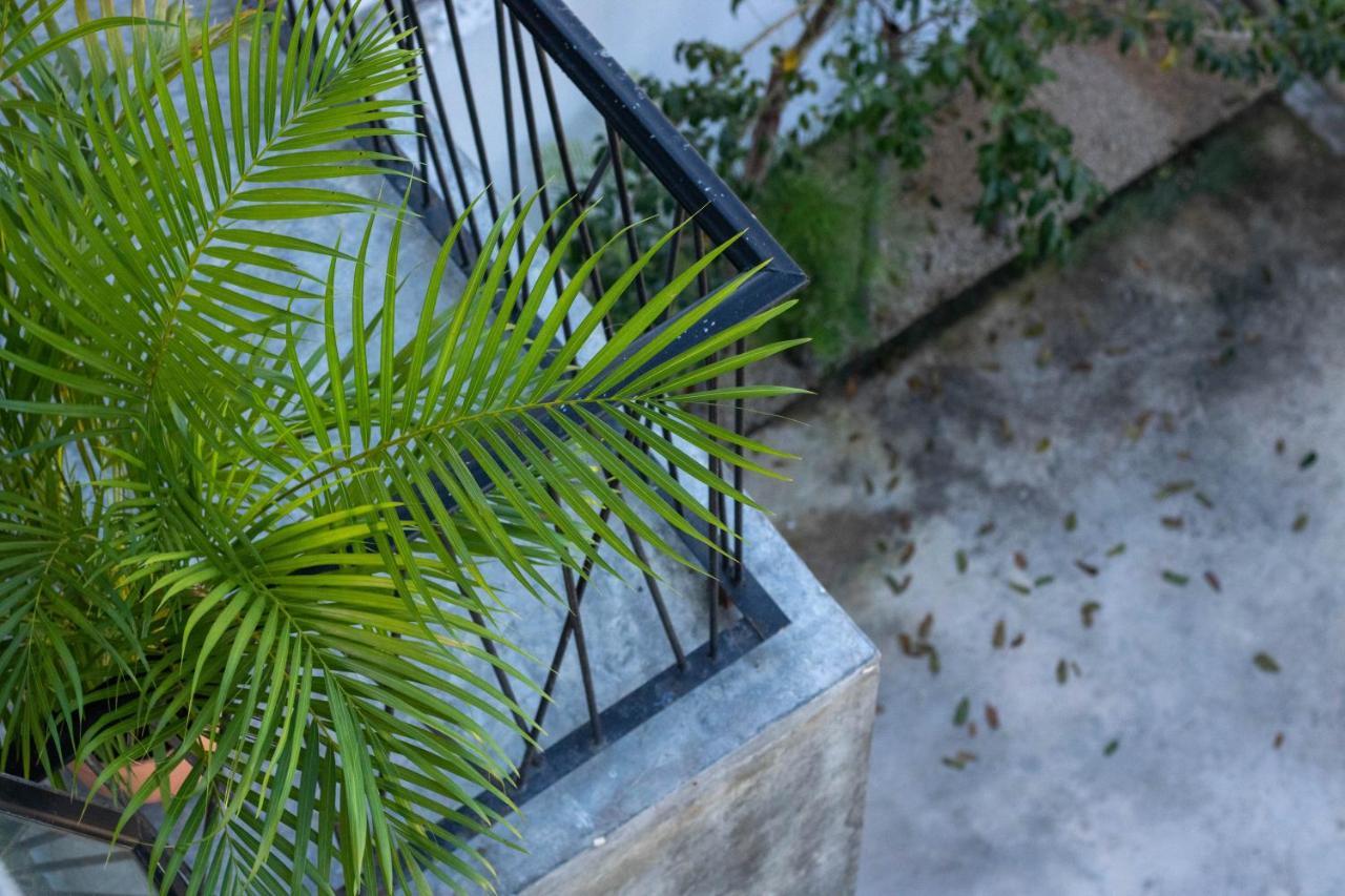 - La Veleta Apartamento Tulum
