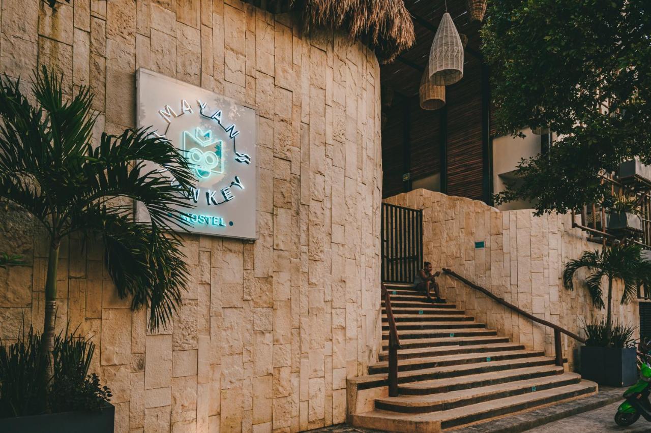 Mayan Monkey - Social (adults Only) *