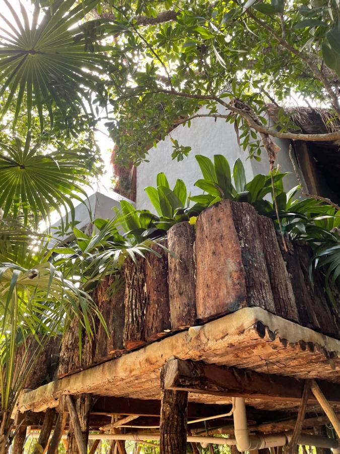 Roc Jungle