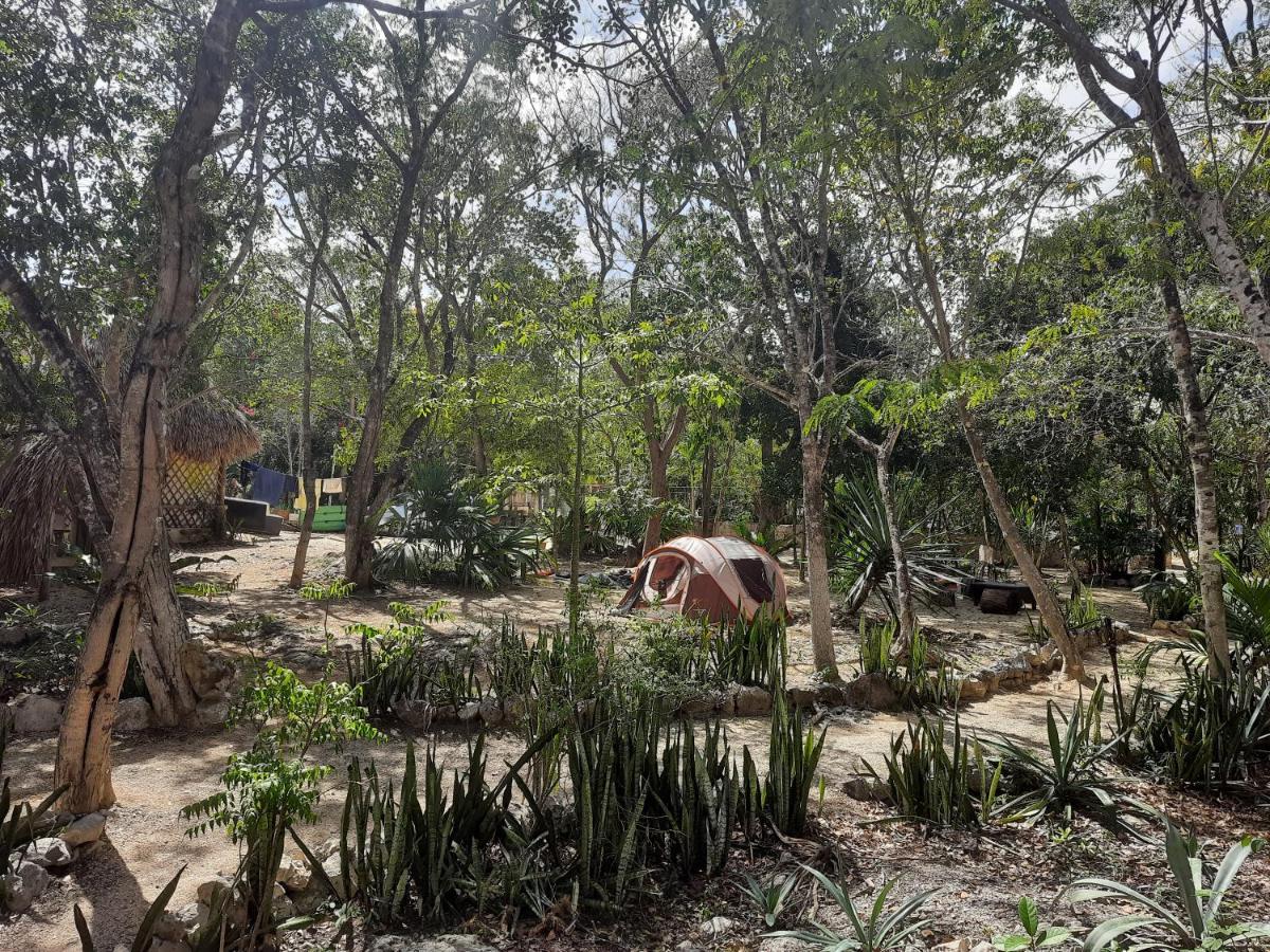Campo de lujo Cenote, Camping & Mas Aldea Maya *