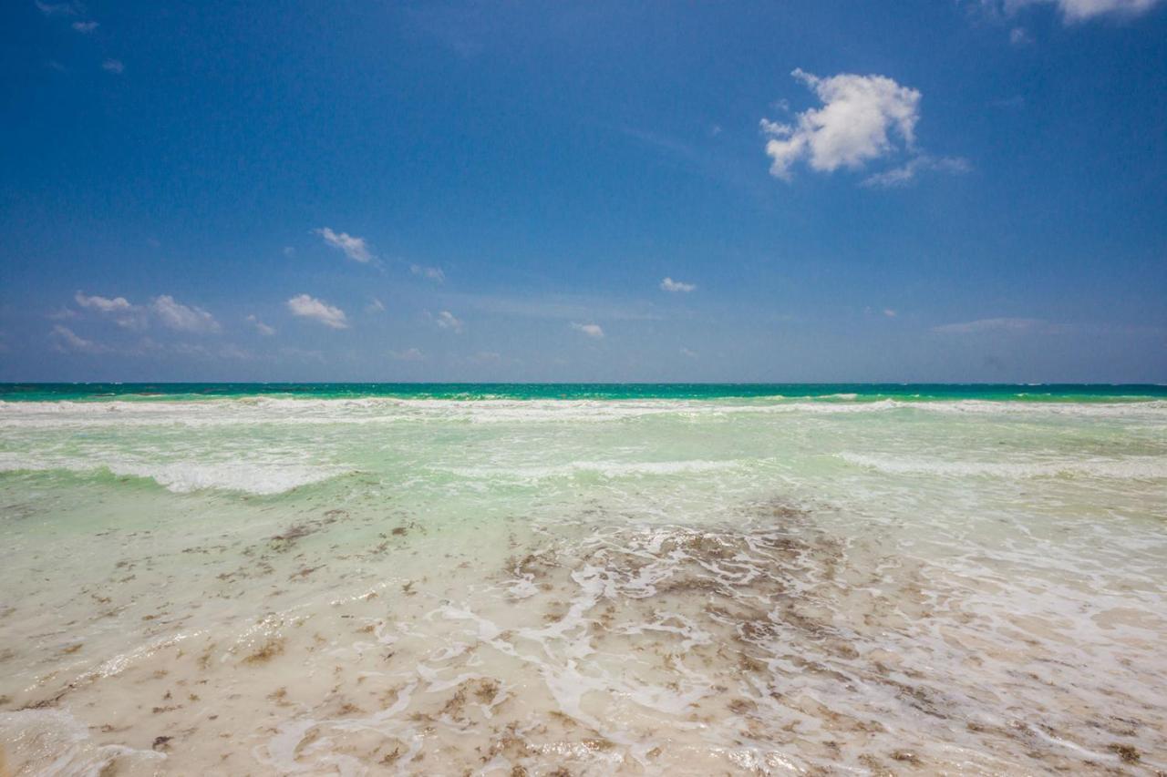 Luxury Beachfront In Sian Kaan Tulum