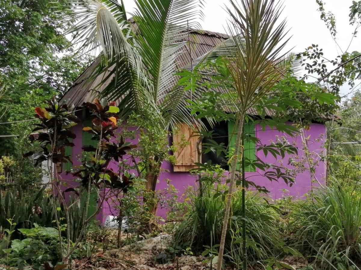 Jungle Oasis * Tulum