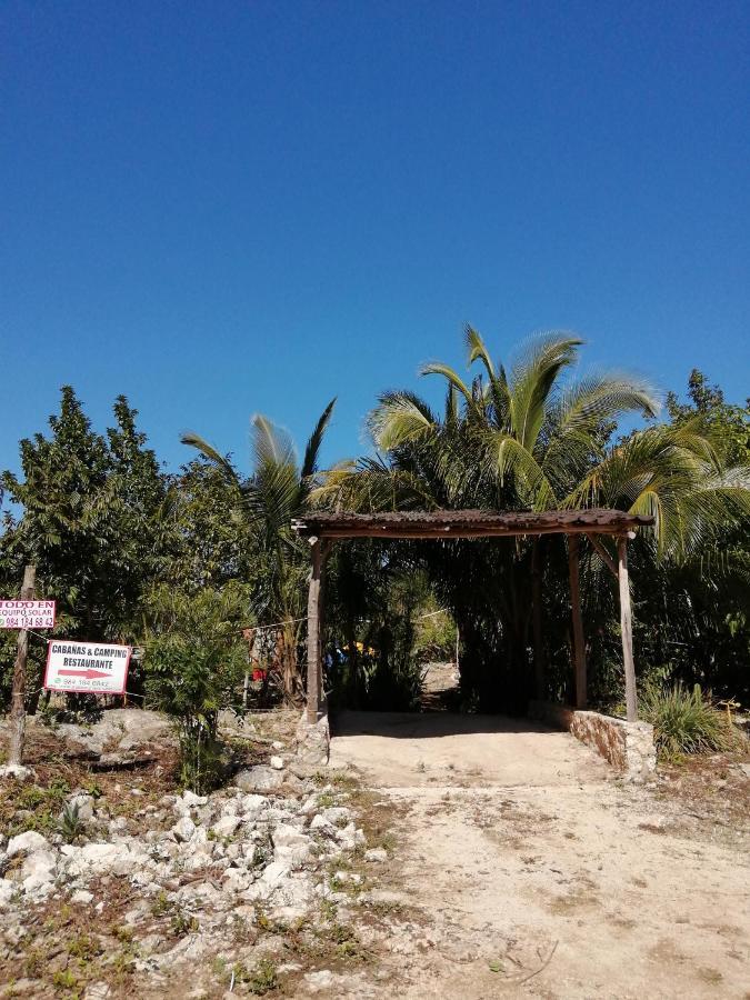 Jungle Oasis Tulum