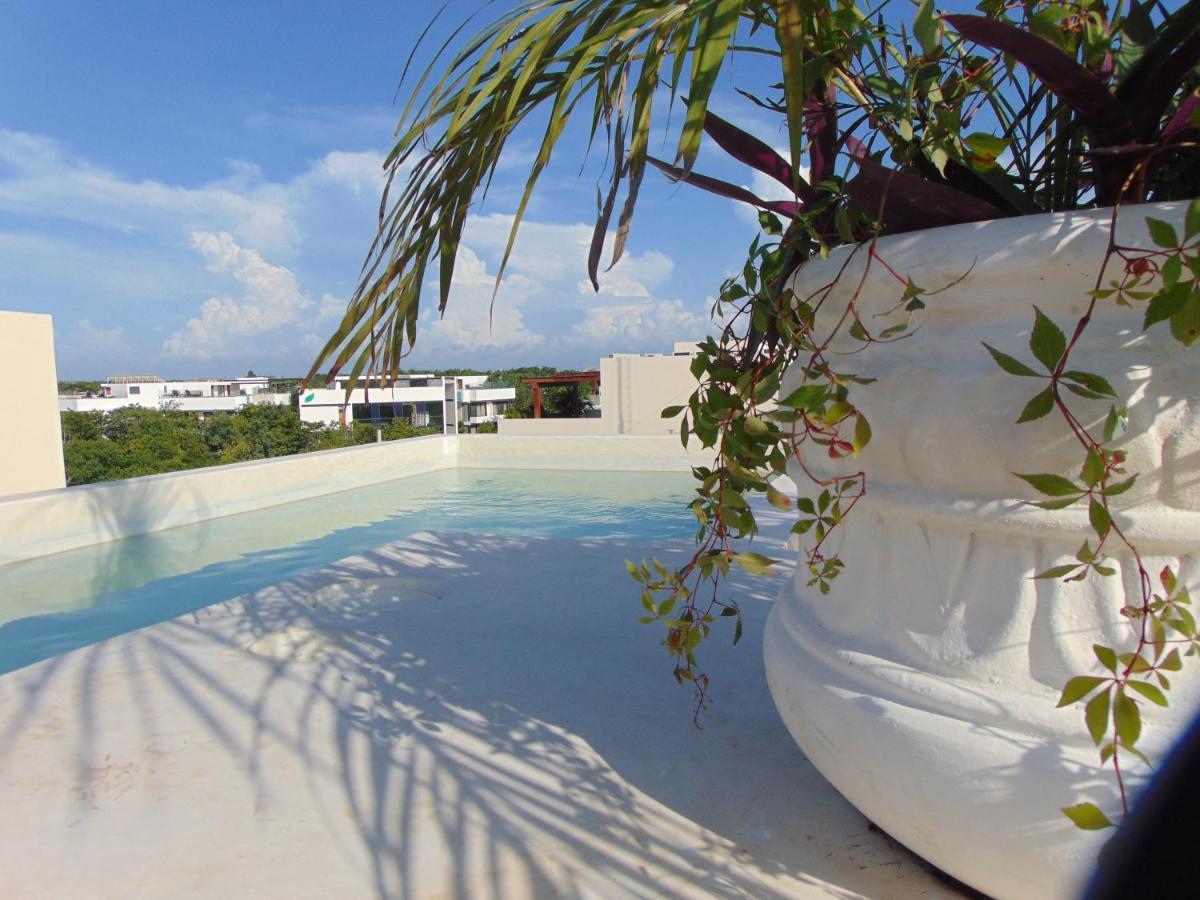 Azul Maya Tulum
