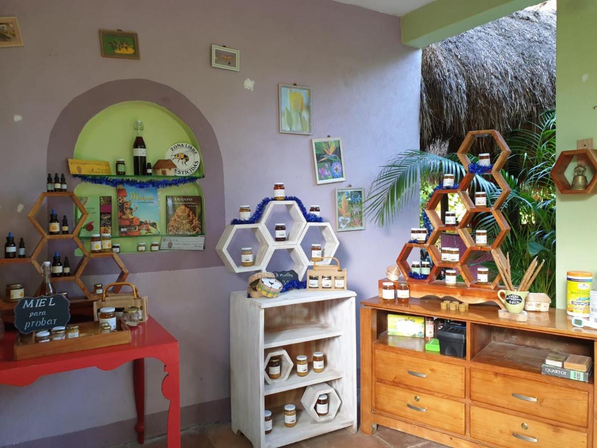 Bed and breakfast Casa Don Diego