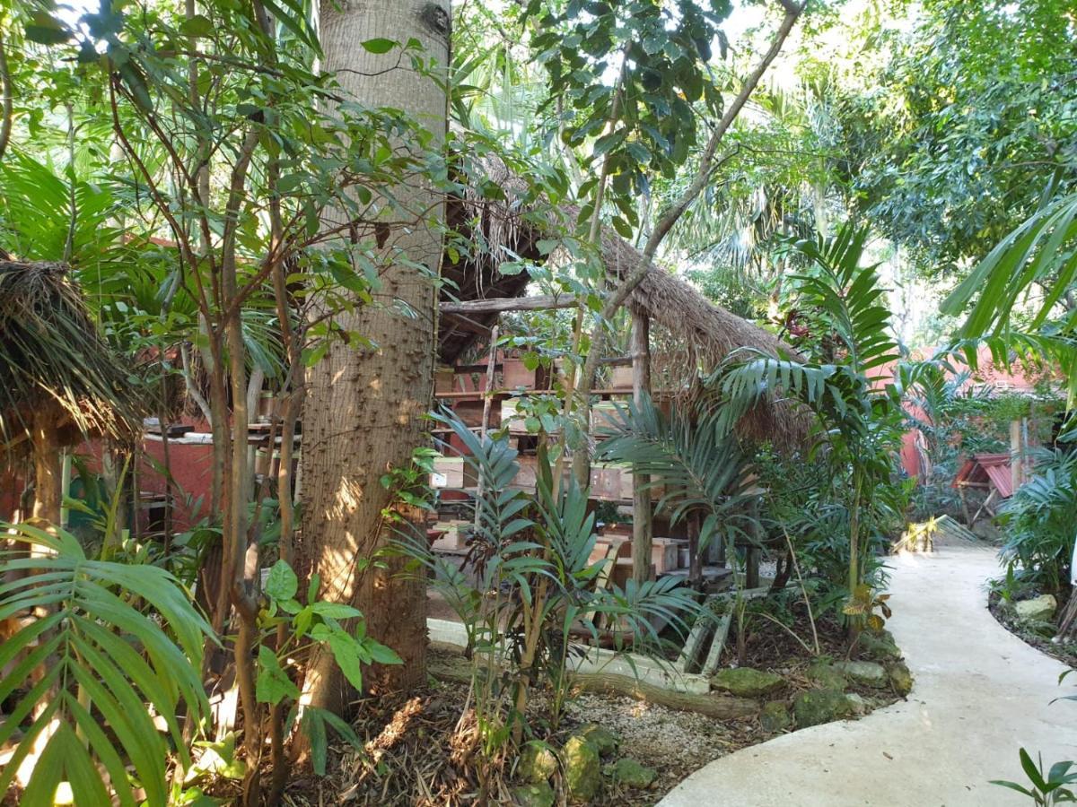 Bed and breakfast Casa Don Diego
