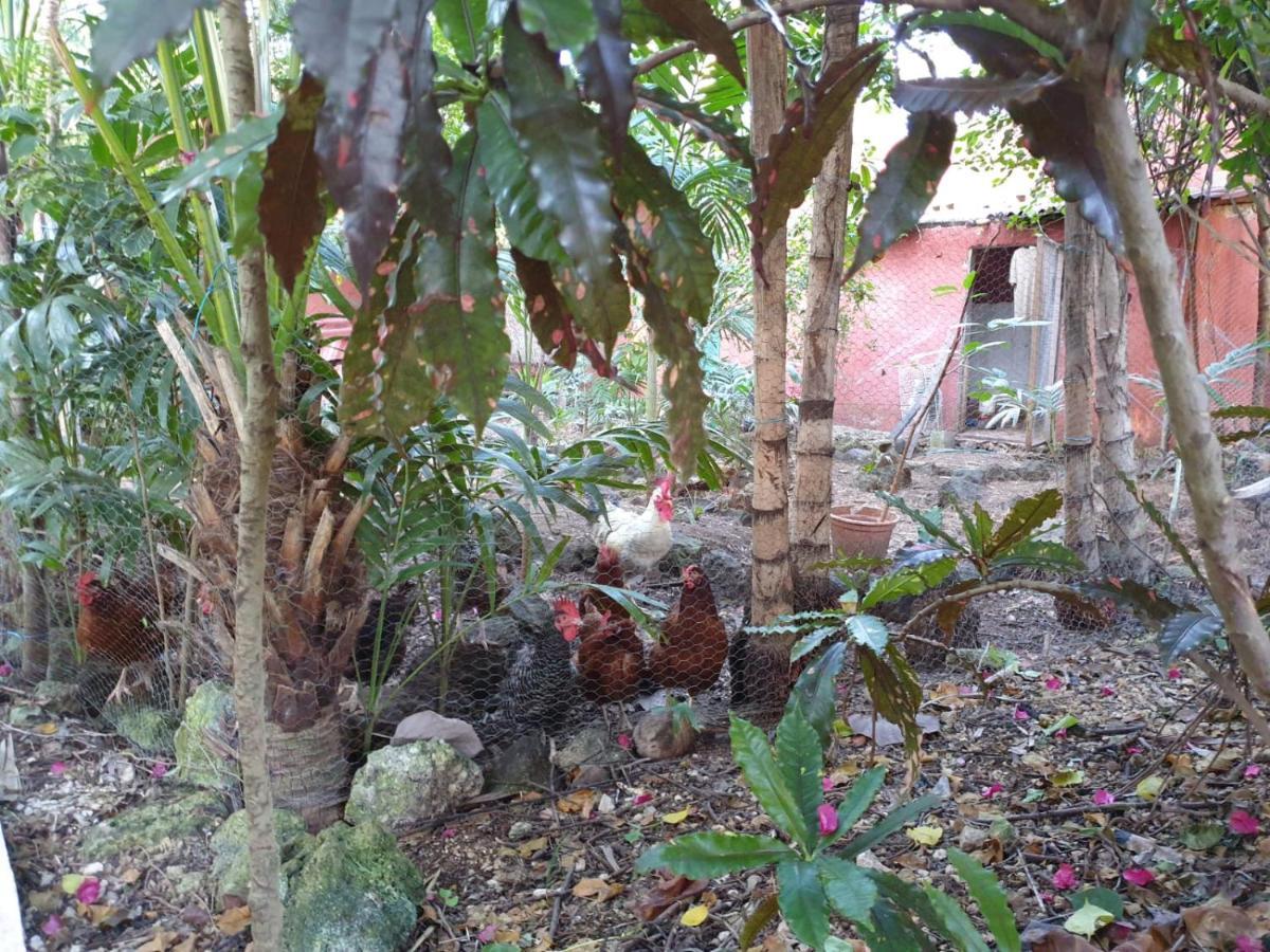 Casa Don Diego Bed and breakfast Tulum