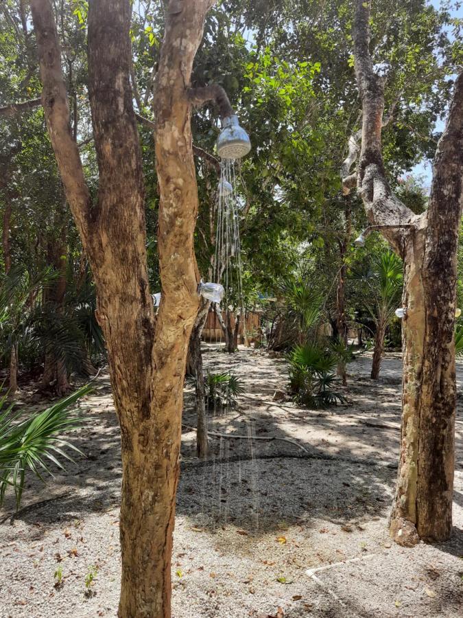 Cenote, Camping & Mas Aldea Maya