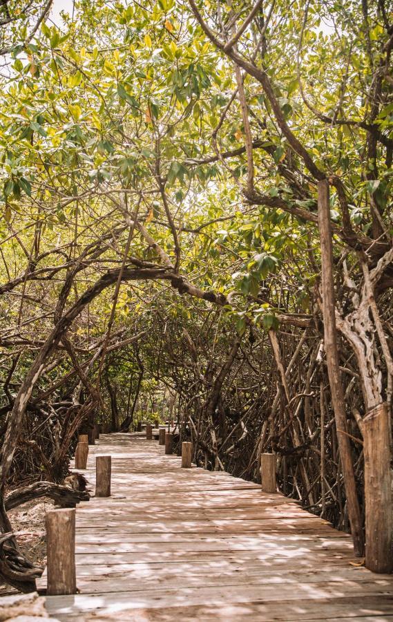 Uman Glamping & Cenote Campo de lujo
