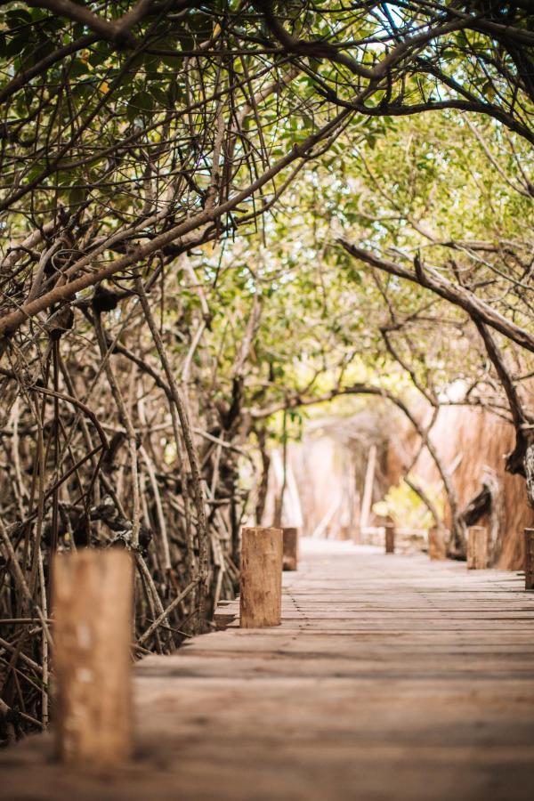 Campo de lujo Uman Glamping & Cenote *