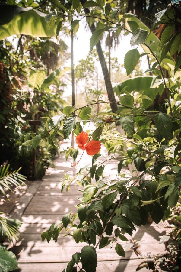 Uman Glamping & Cenote Campo de lujo Tulum