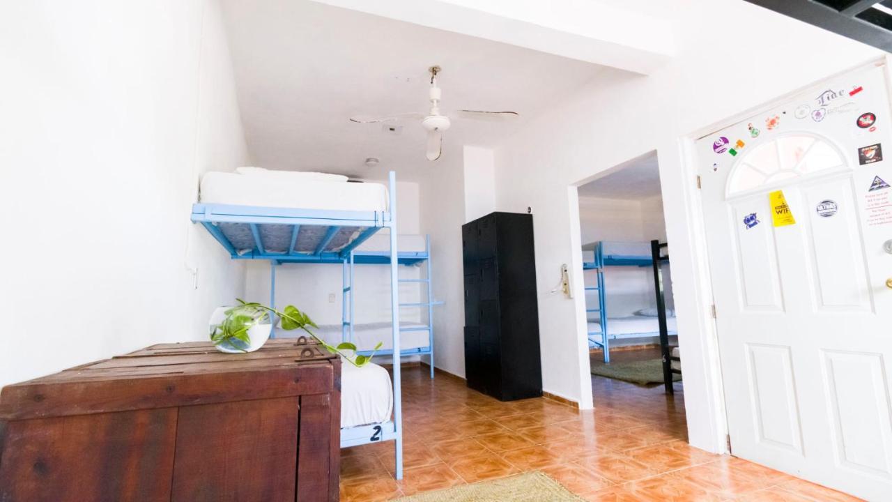 Weary Traveler Hostal *