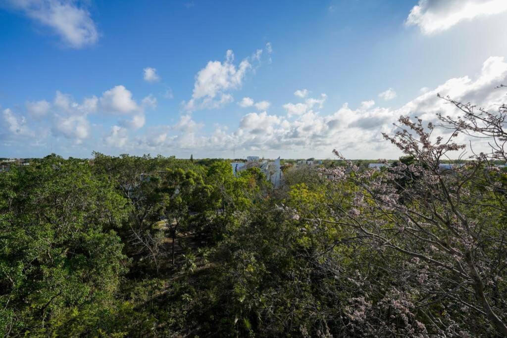 El Vivero, Beautiful In A3 Tulum