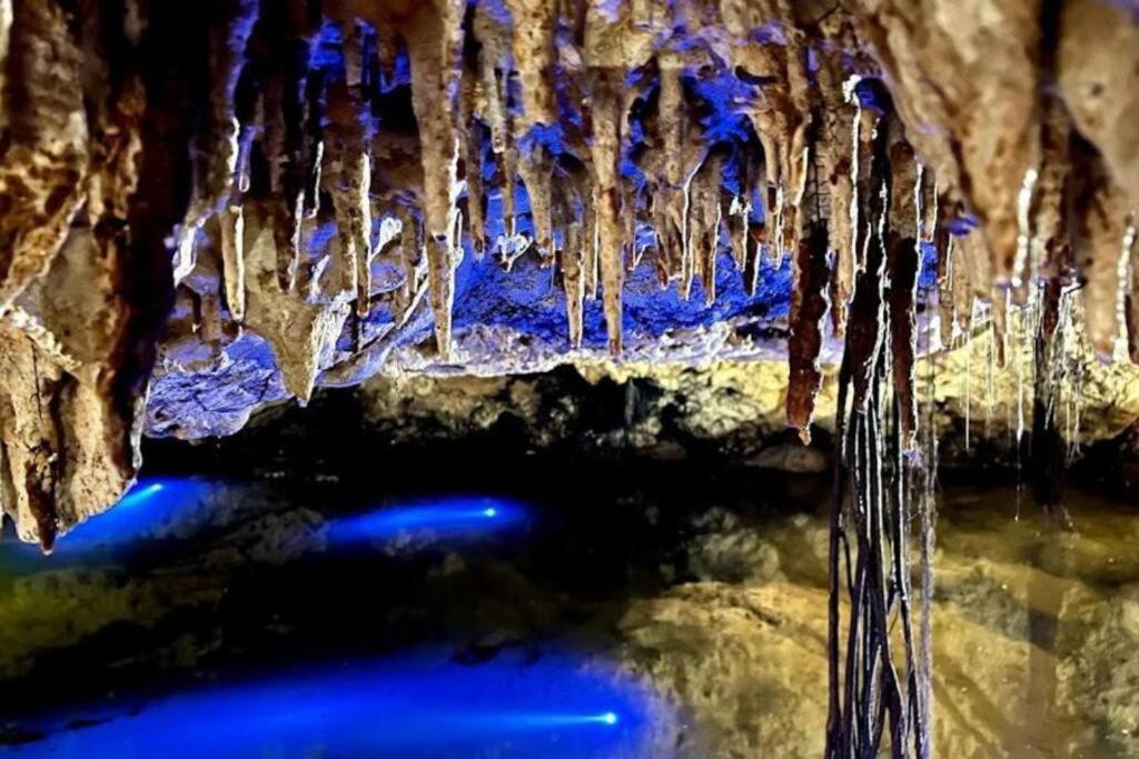 Luxury W/private Jacuzzi & Cenote Tulum