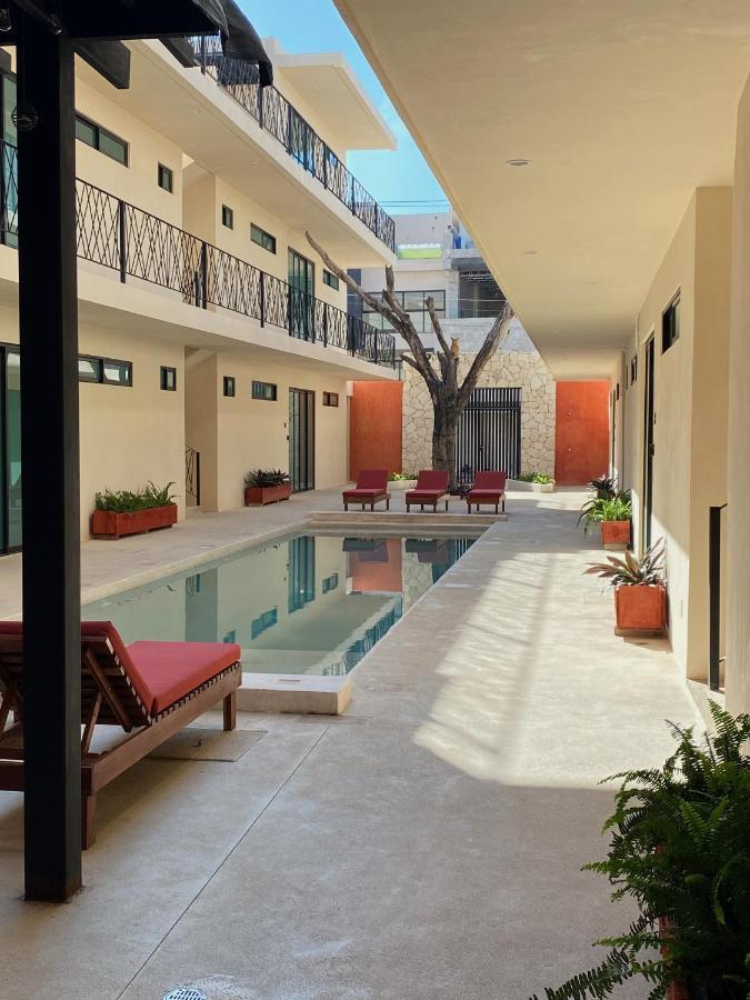 La Casa Del Buho Apartamento *