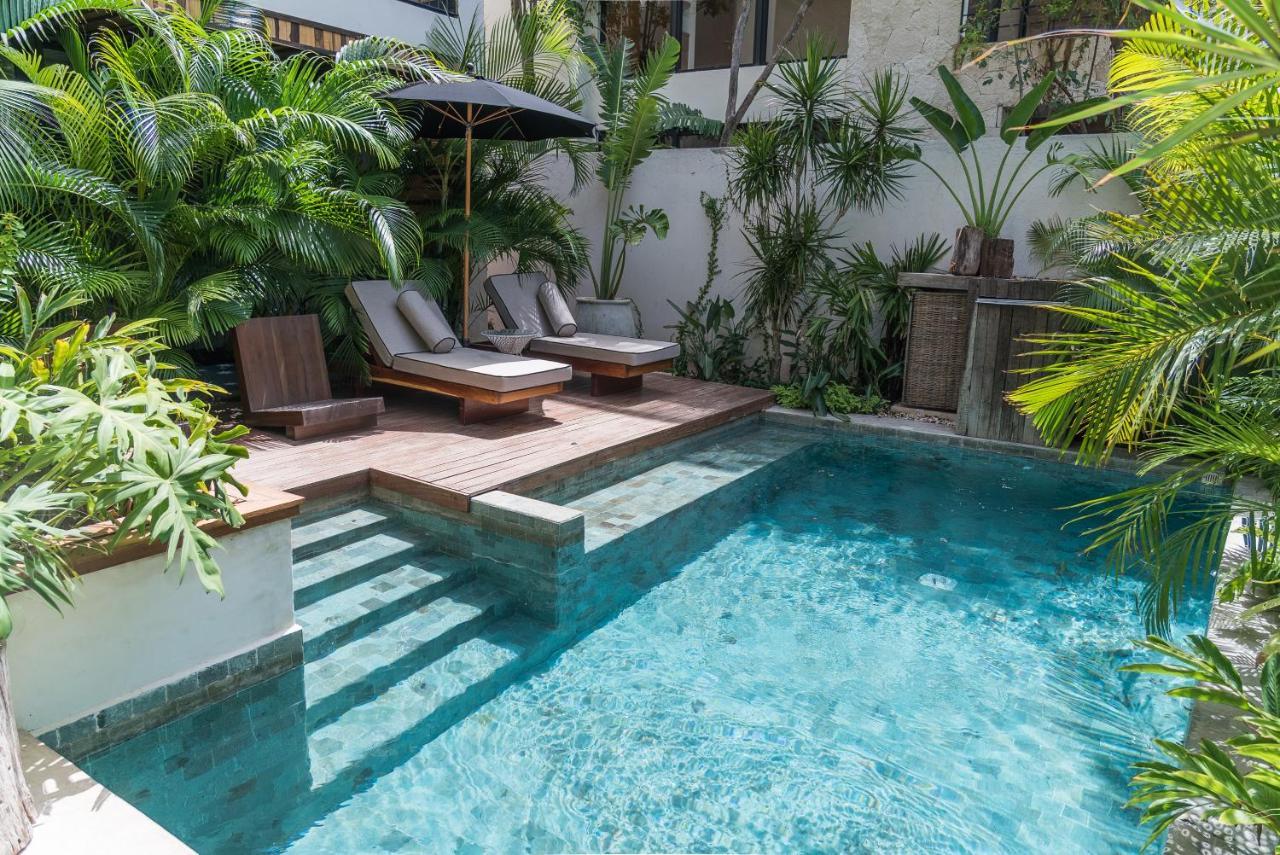 Nice Avant-garde Studio Charming Private Terrace And Miniplunge Pool And Great Amenities * Tulum