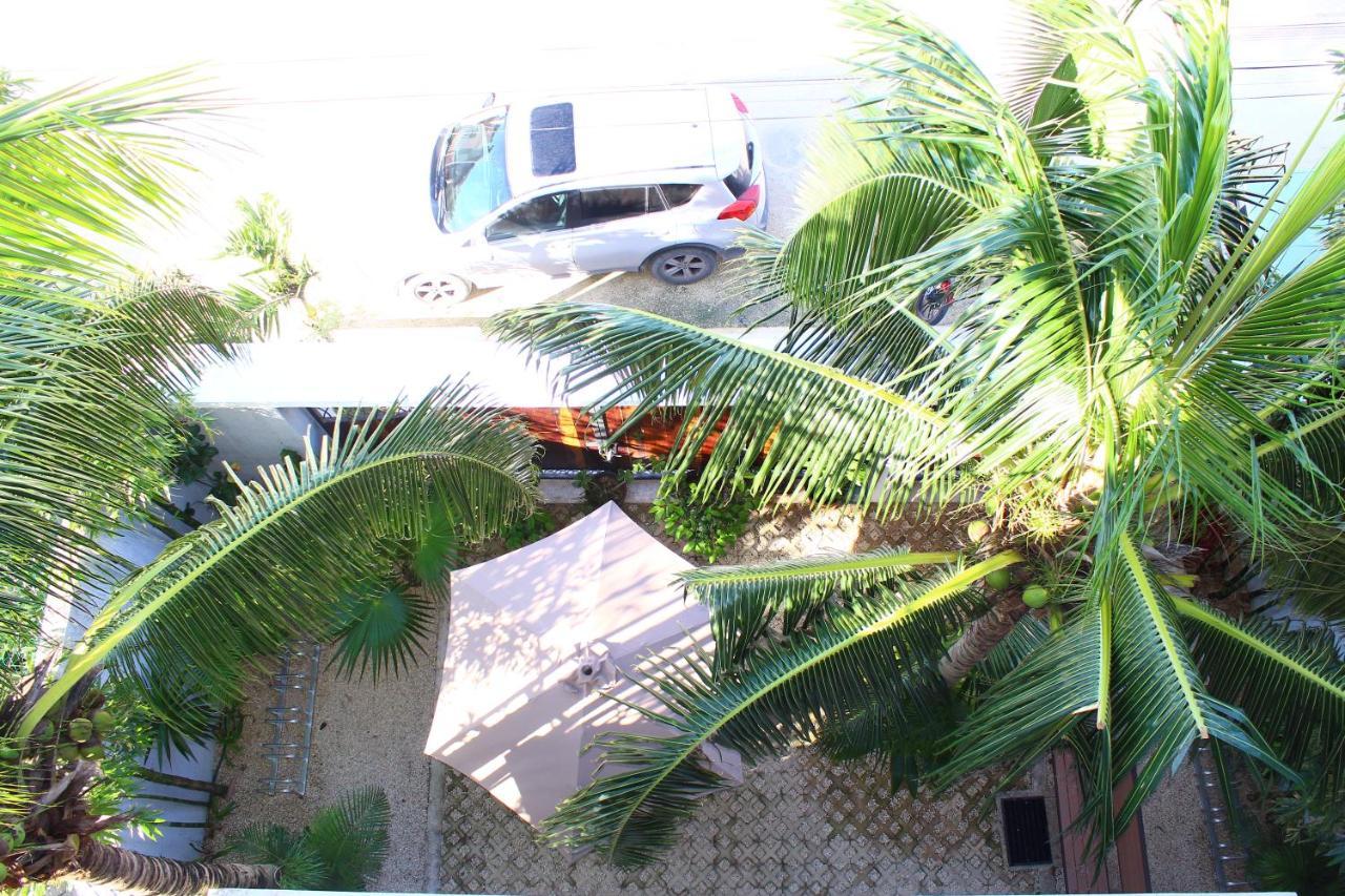 Bed and breakfast Las Mariposas *