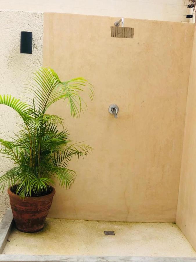 Casa Leo