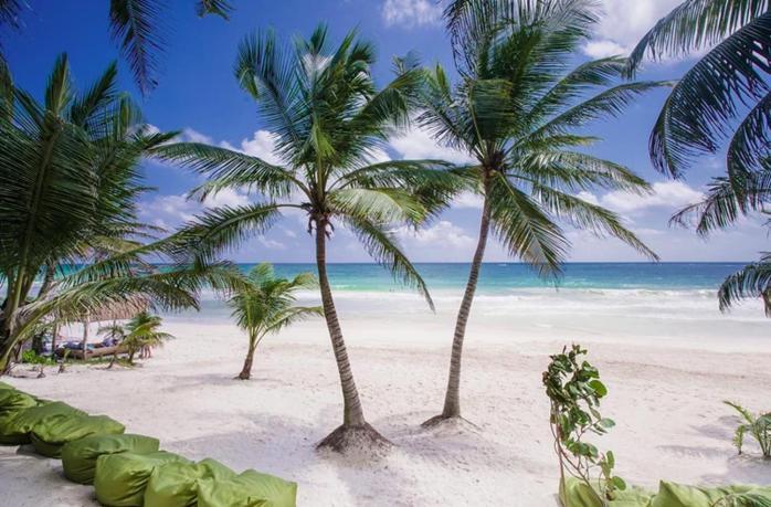 Beachfront In Beach- Location! * Tulum