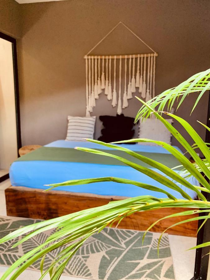 Vida Jungle 1 With Special Fee To Access Bardo * Tulum