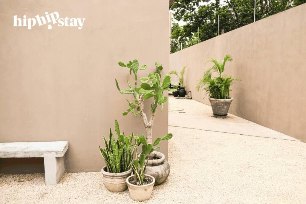 Villa Hiphipstay - El Chapo Tulum