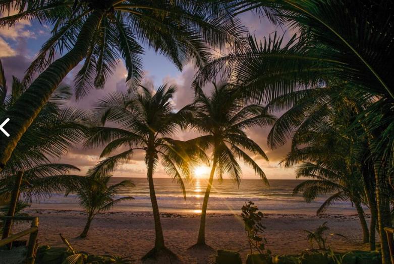 Beachfront In Beach- Location! *