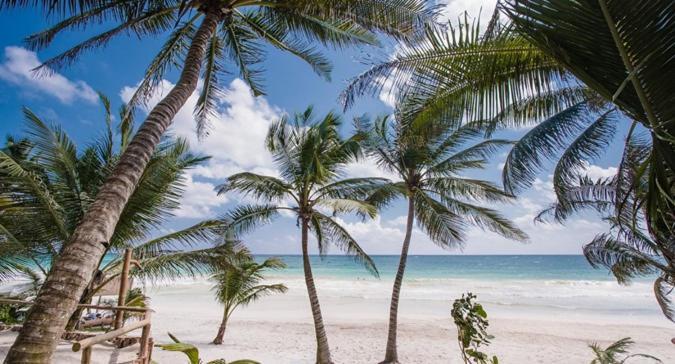 Beachfront In Beach- Location! Tulum