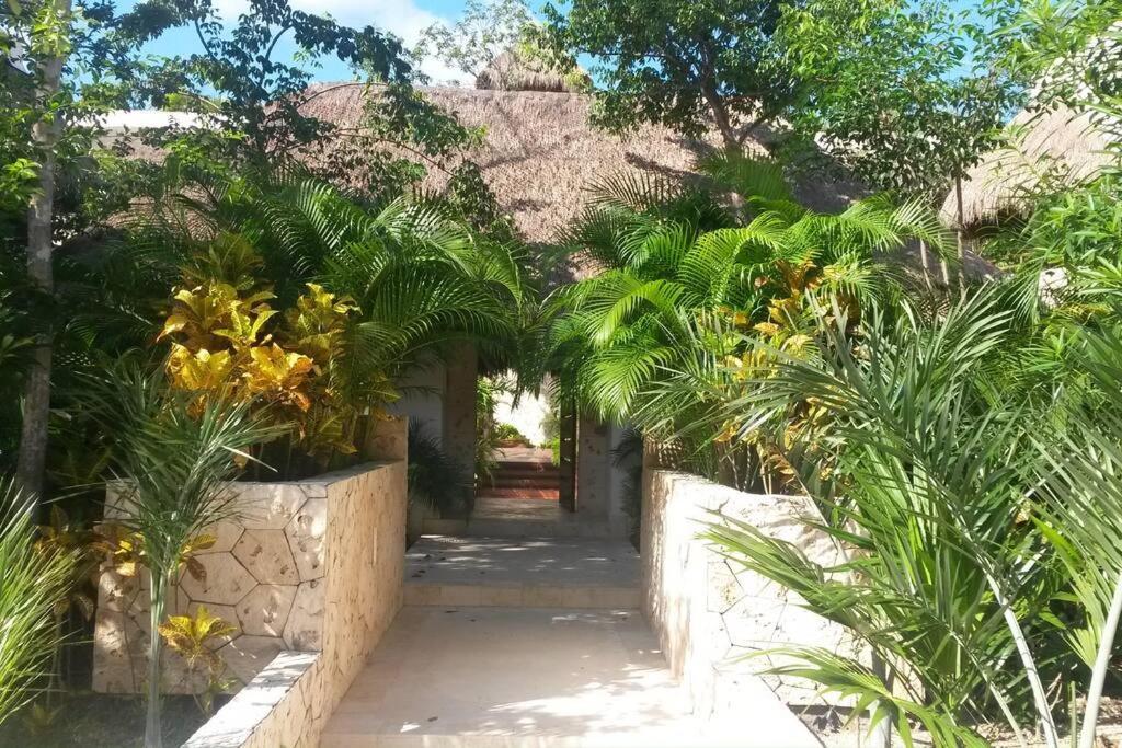 Apartamento Beautiful With Pool Tulum