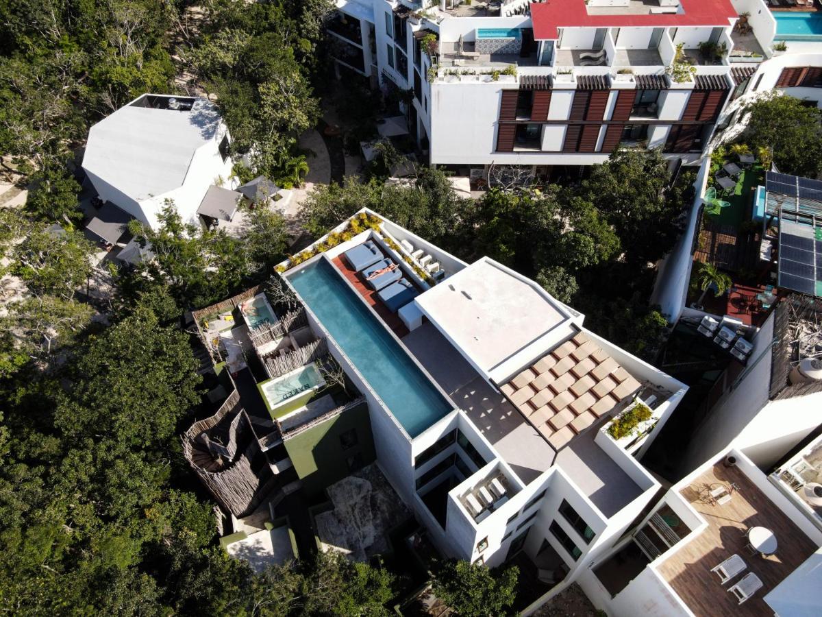 Azalea By Zamá Homes Tulum