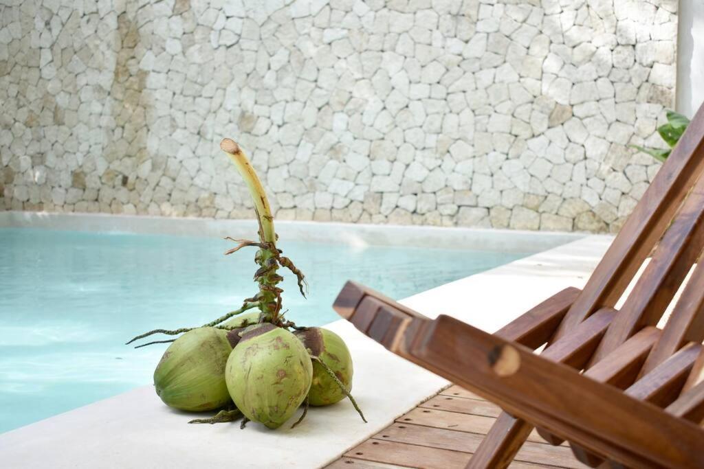 Apartamento Chic-modern Apt W/pool, Garden, Parking & 3 Bikes Tulum